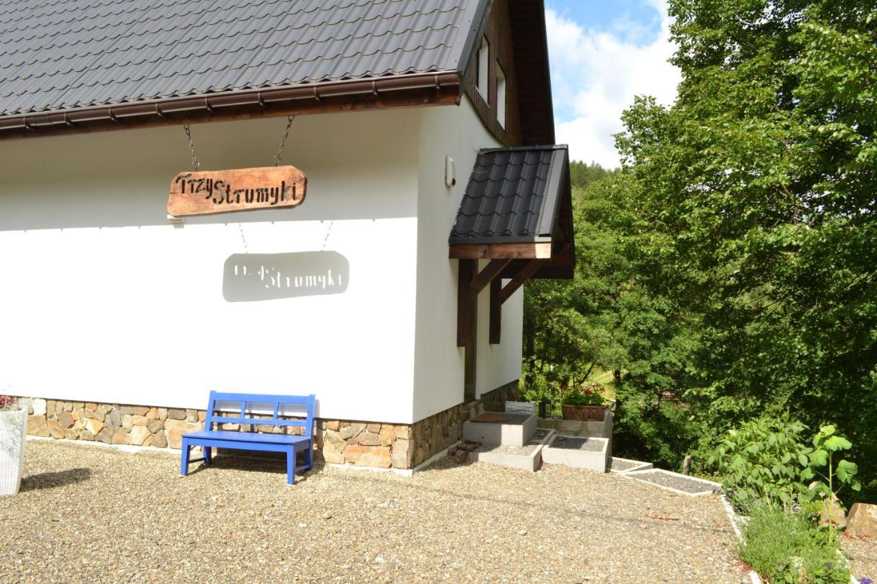 Trzy Strumyki Kąty Bystrzyckie Exterior foto